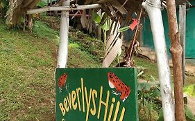 Beverly'S Hill Guest House